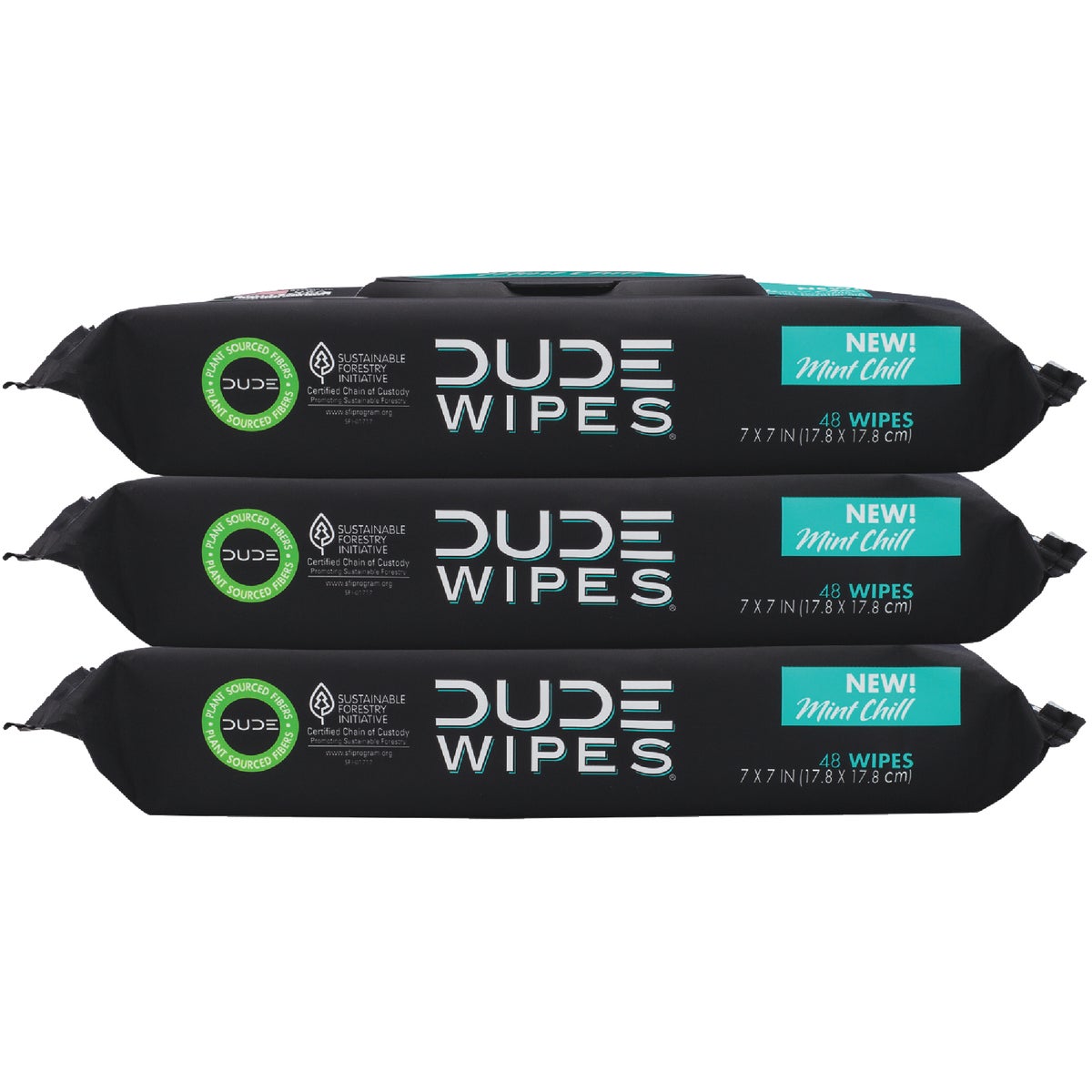 Dude Wipes Mint Chill Flushable Wipes (3-Pack)
