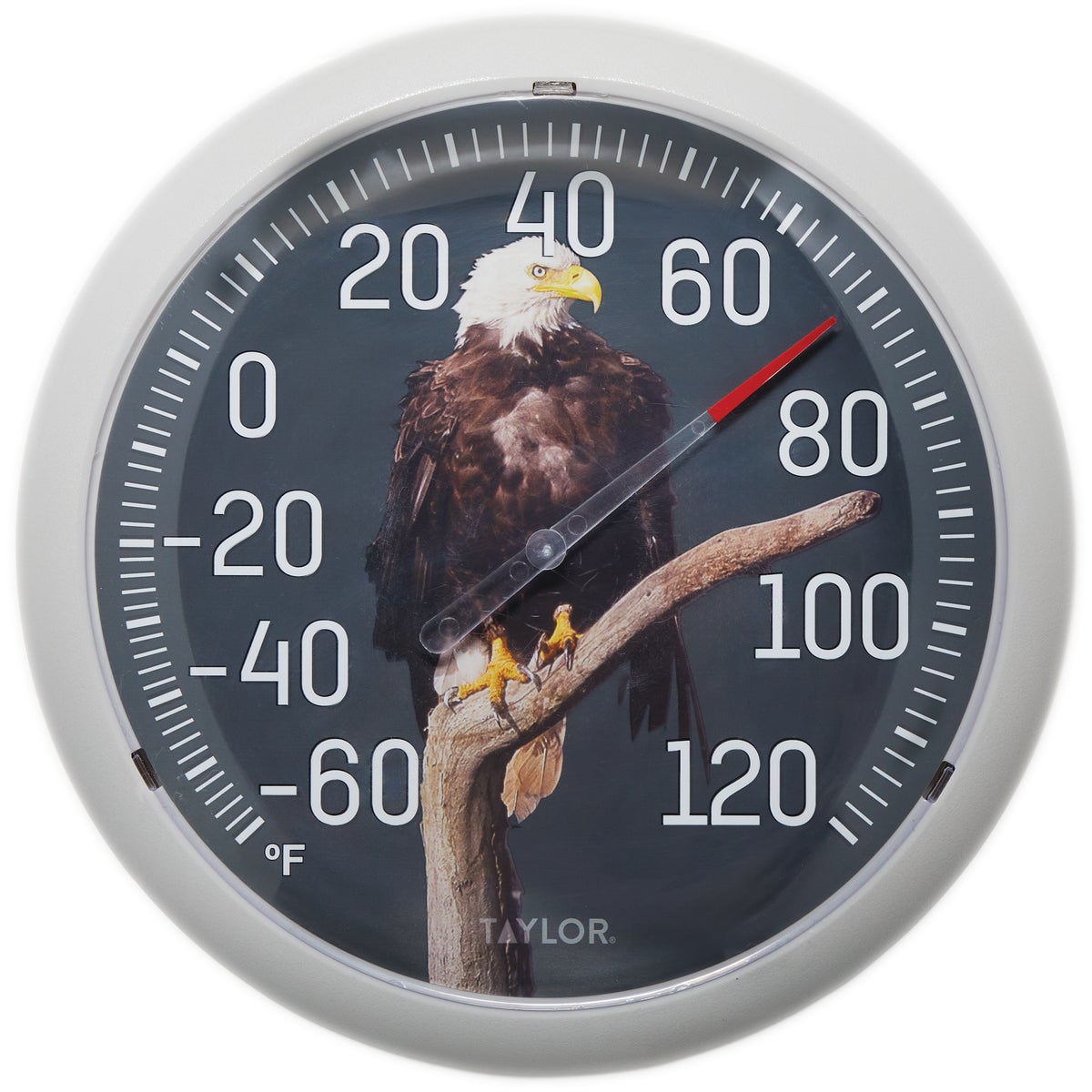 Taylor 13.25 In. Eagle Nature Round Dial Thermometer