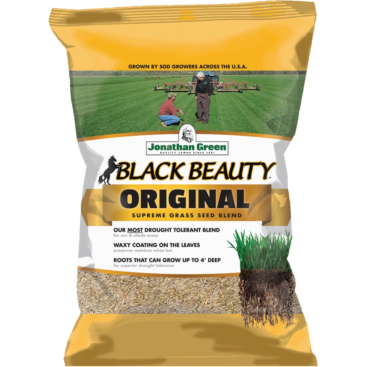 Jonathan Green Black Beauty 25 Lb. 3750 Sq. Ft. Coverage 100% Tall Fescue Grass Seed