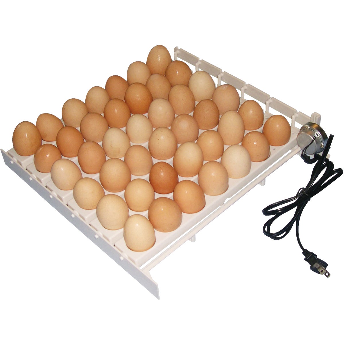 Farm Innovators 41-Egg Capacity 120V Automatic Egg Turner