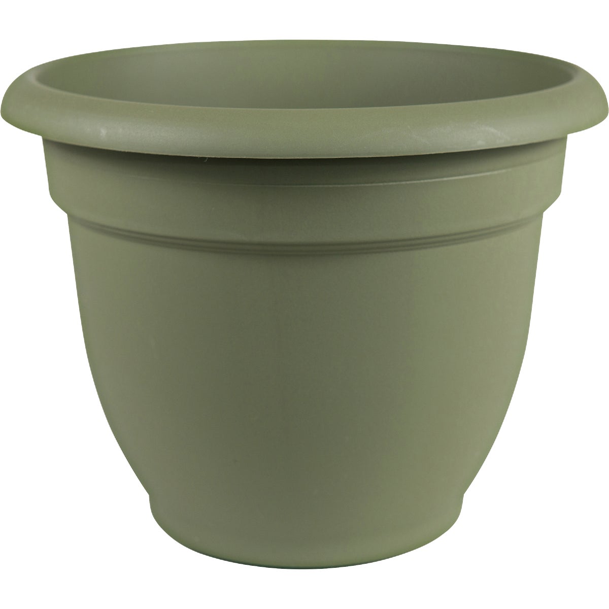 Bloem Ariana 12 In. Plastic Self Watering Thyme Green Planter