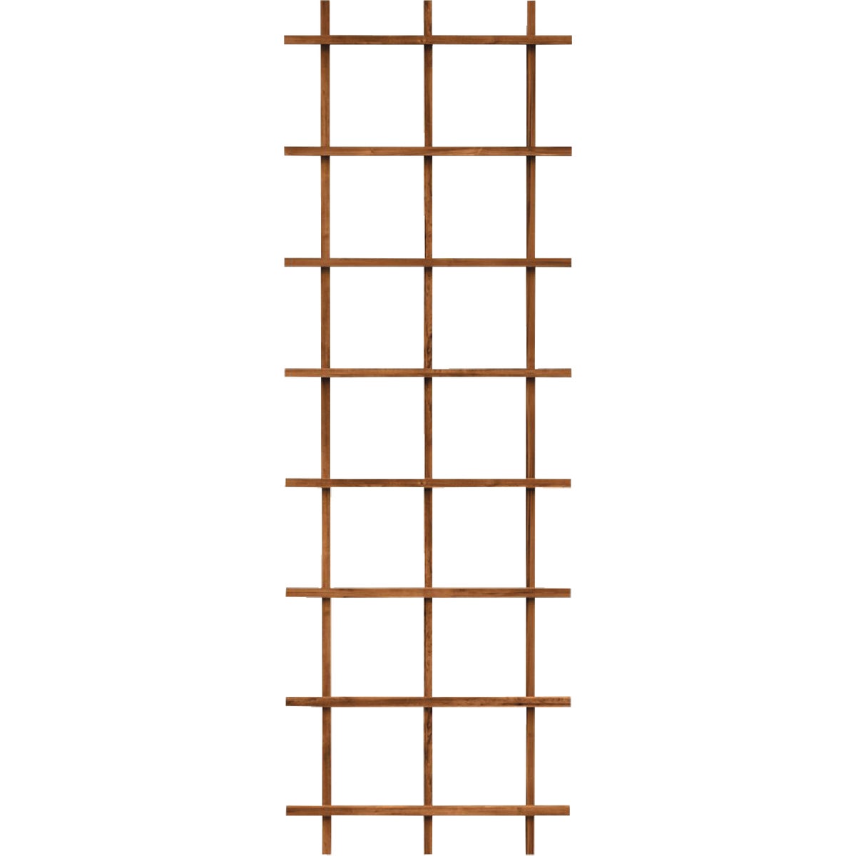 Panacea 72 In. Brown Wood Ladder Trellis