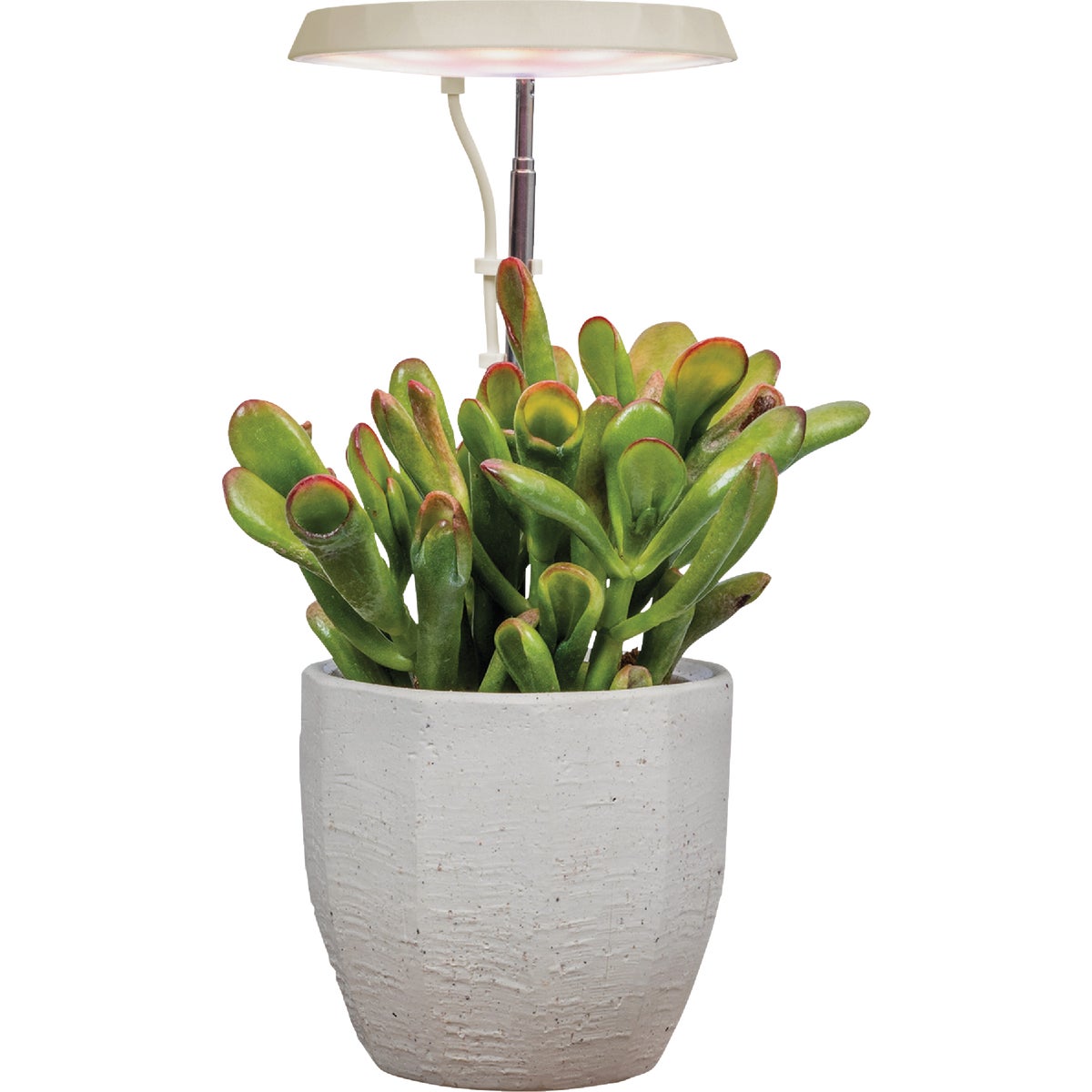 AeroGarden Stem 5W LED Cream Tabletop Grow Light