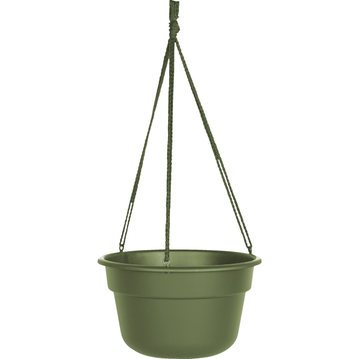 Bloem Dura Cotta 12 In. Plastic Living Green Hanging Plant Basket