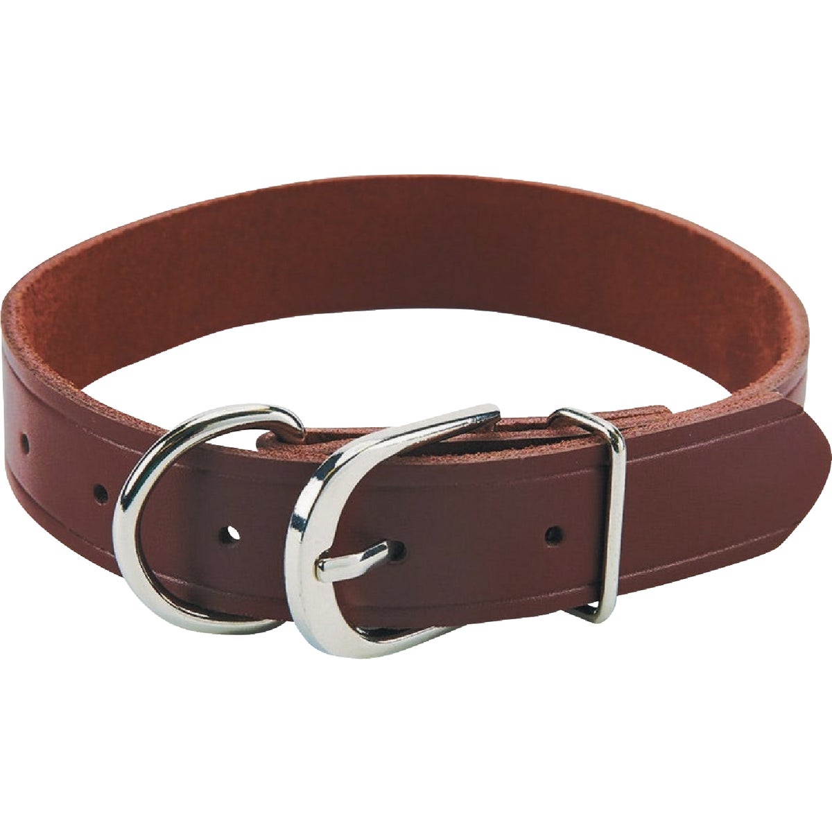Boss Pet Guardian Gear 1 In. x 16 to 19 In. Leather Hunting Dog Collar