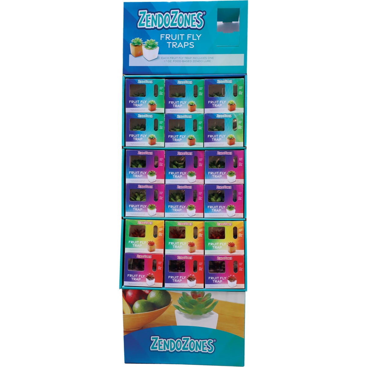 FRUIT FLY TRAP DISPLAY
