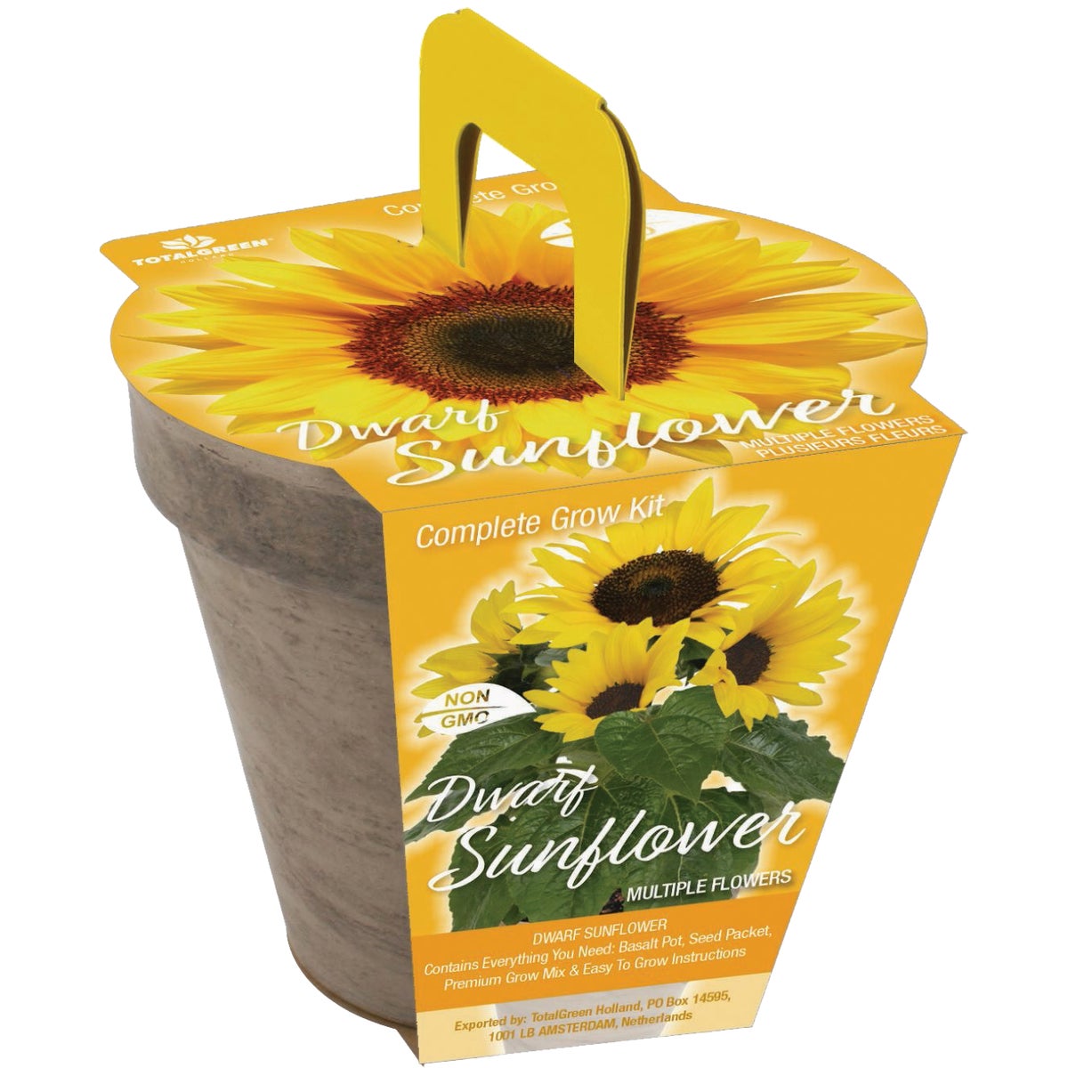 TotalGreen Holland Dwarf Sunflower Grow Kit