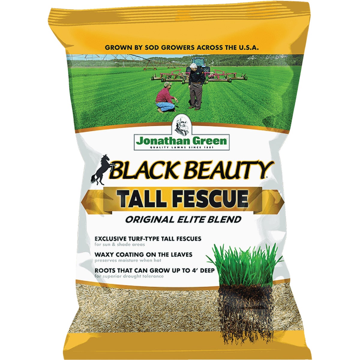 Jonathan Green Black Beauty 7 Lb. Tall Fescue Original Elite Blend Grass Seed