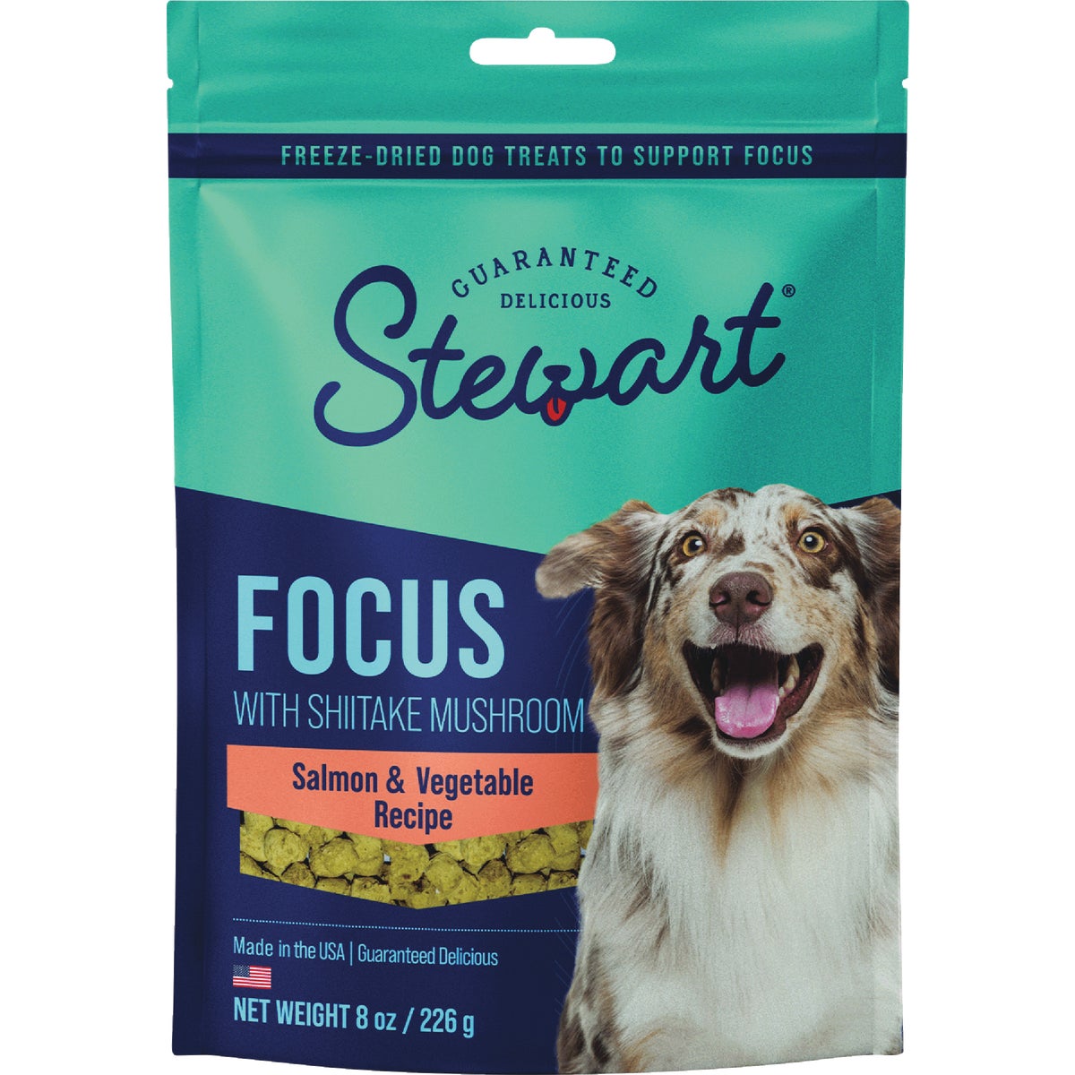 Stewart Focus 8 Oz. Freeze-Fried Salmon Dog Treat