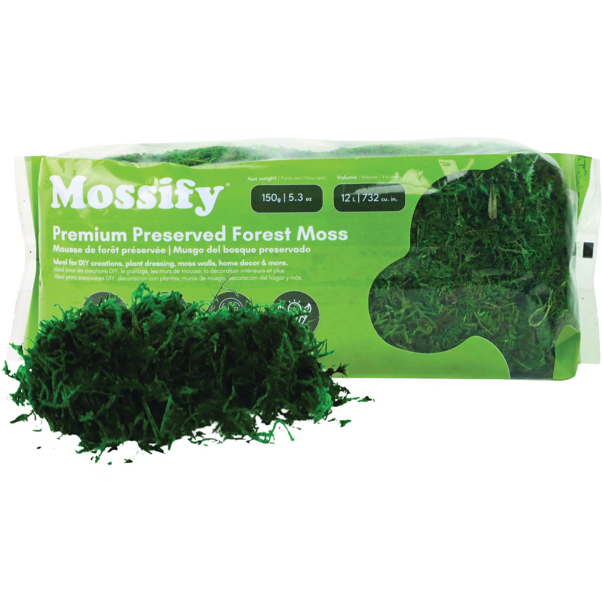 Mossify 5.3 Oz. Premium Preserved Forest Moss
