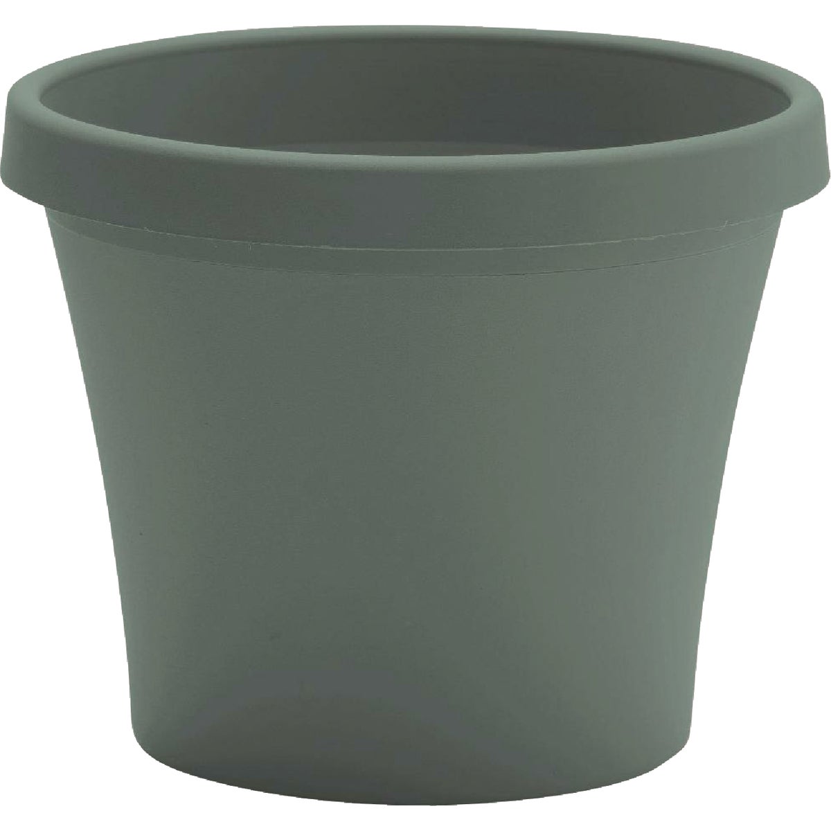 Bloem Terra 8 In. Basil Planter