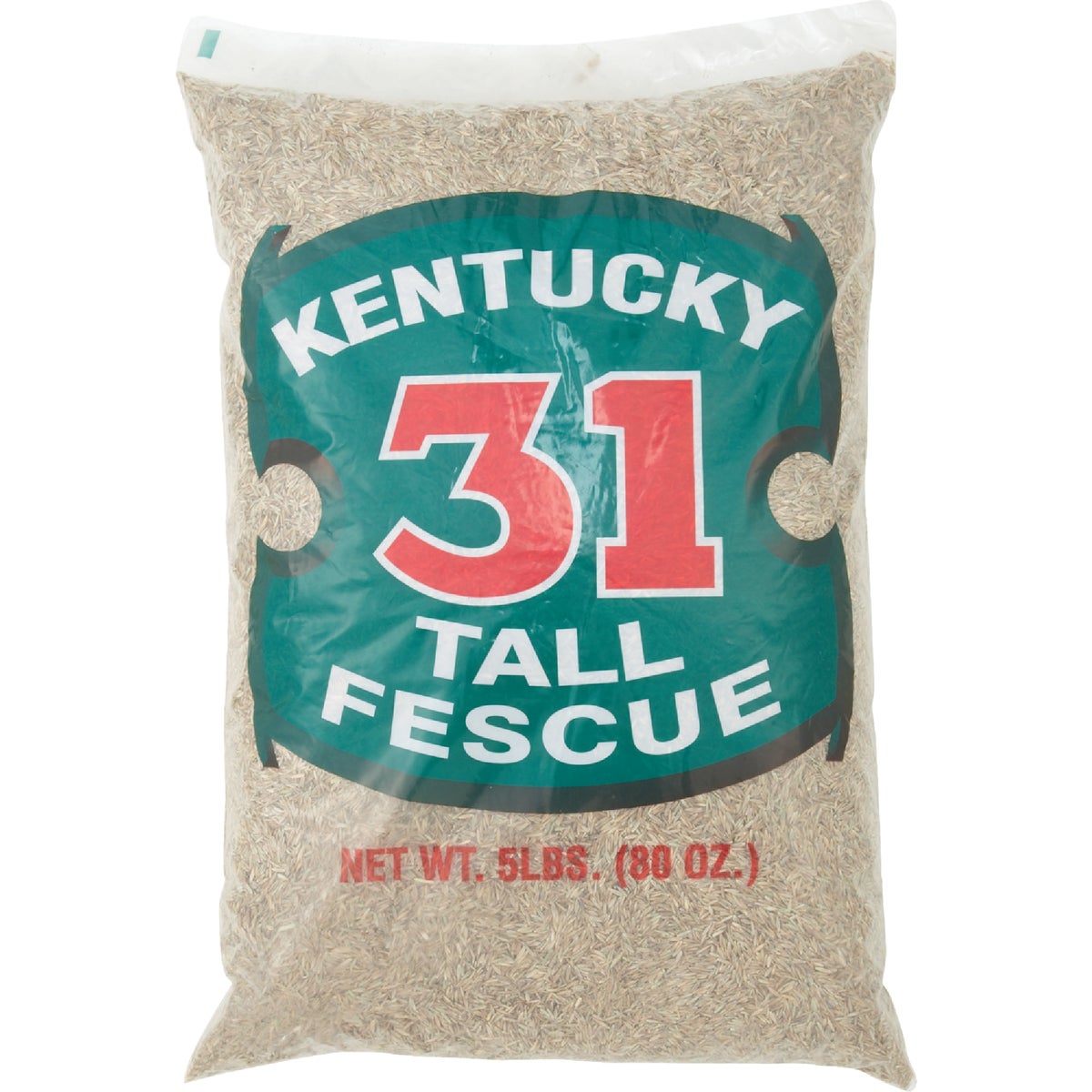 Barenbrug Kentucky 31 Tall Fescue Grass Seed