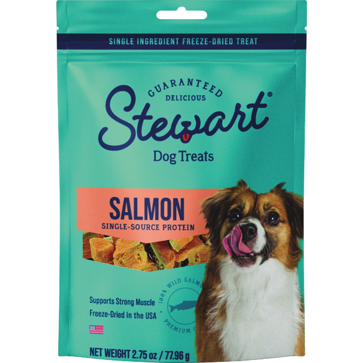 Stewart 2.75 Oz. Pouch Wild Salmon Dog Treat