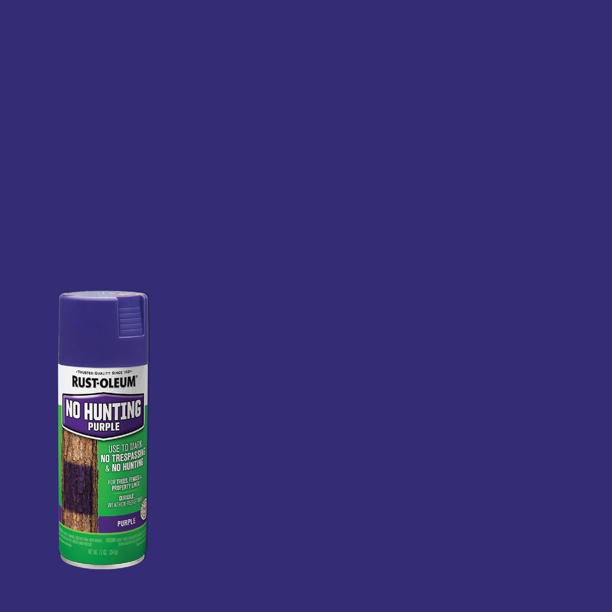 Rust-Oleum No Hunting Purple 12 Oz. Flat Spray Paint, Purple