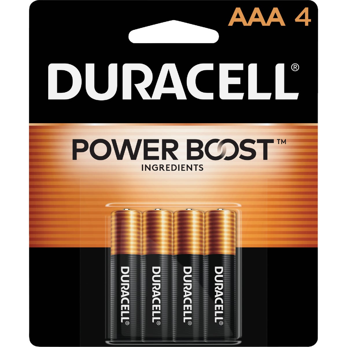 Duracell CopperTop AAA Alkaline Battery (4-Pack)