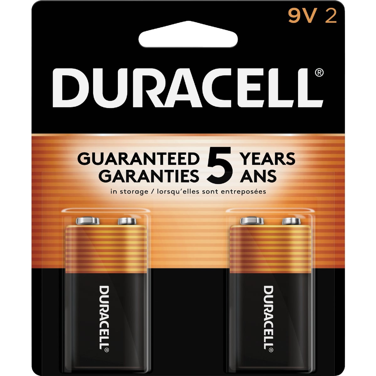 2PK 9V ALKALINE BATTERY