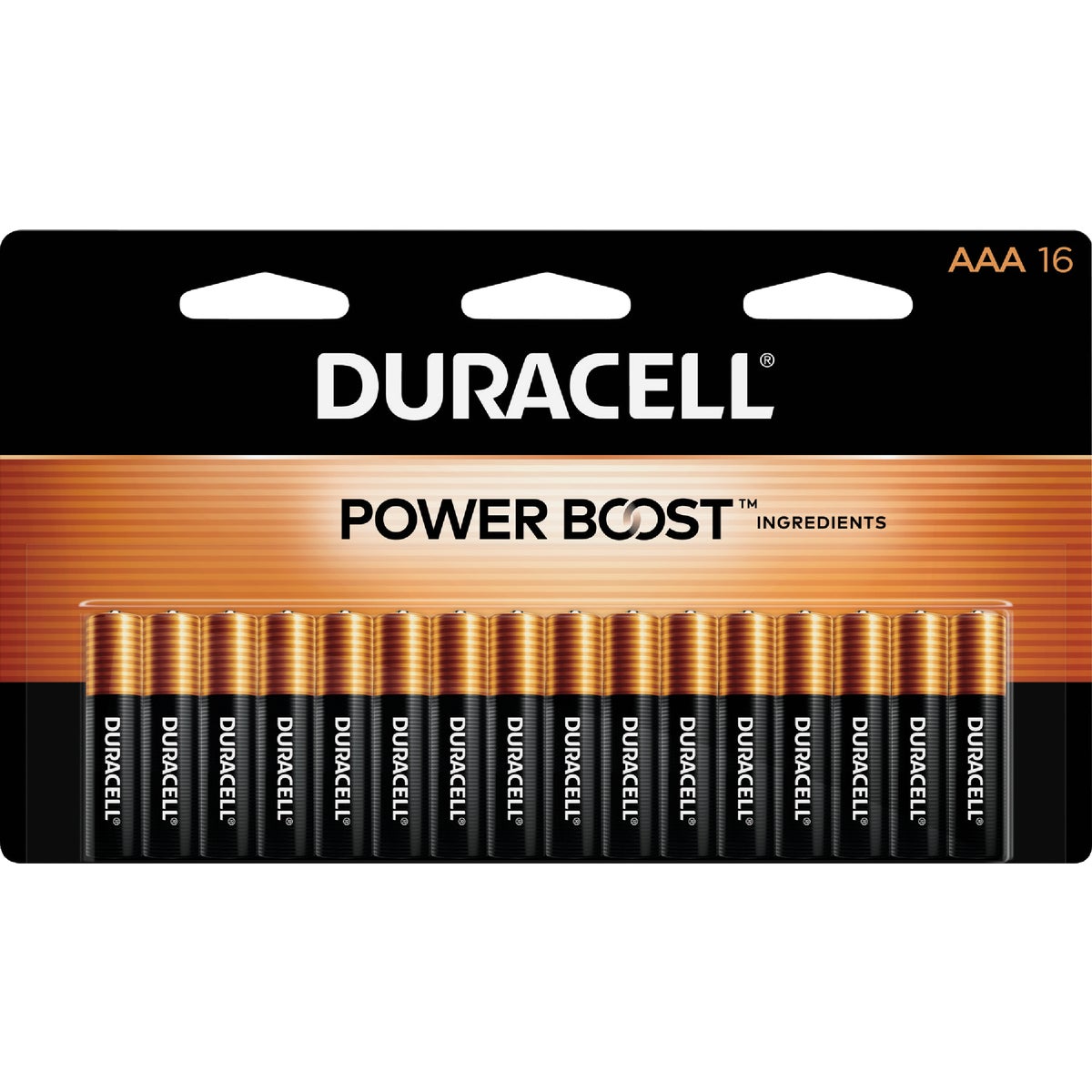 Duracell CopperTop AAA Alkaline Battery (16-Pack)