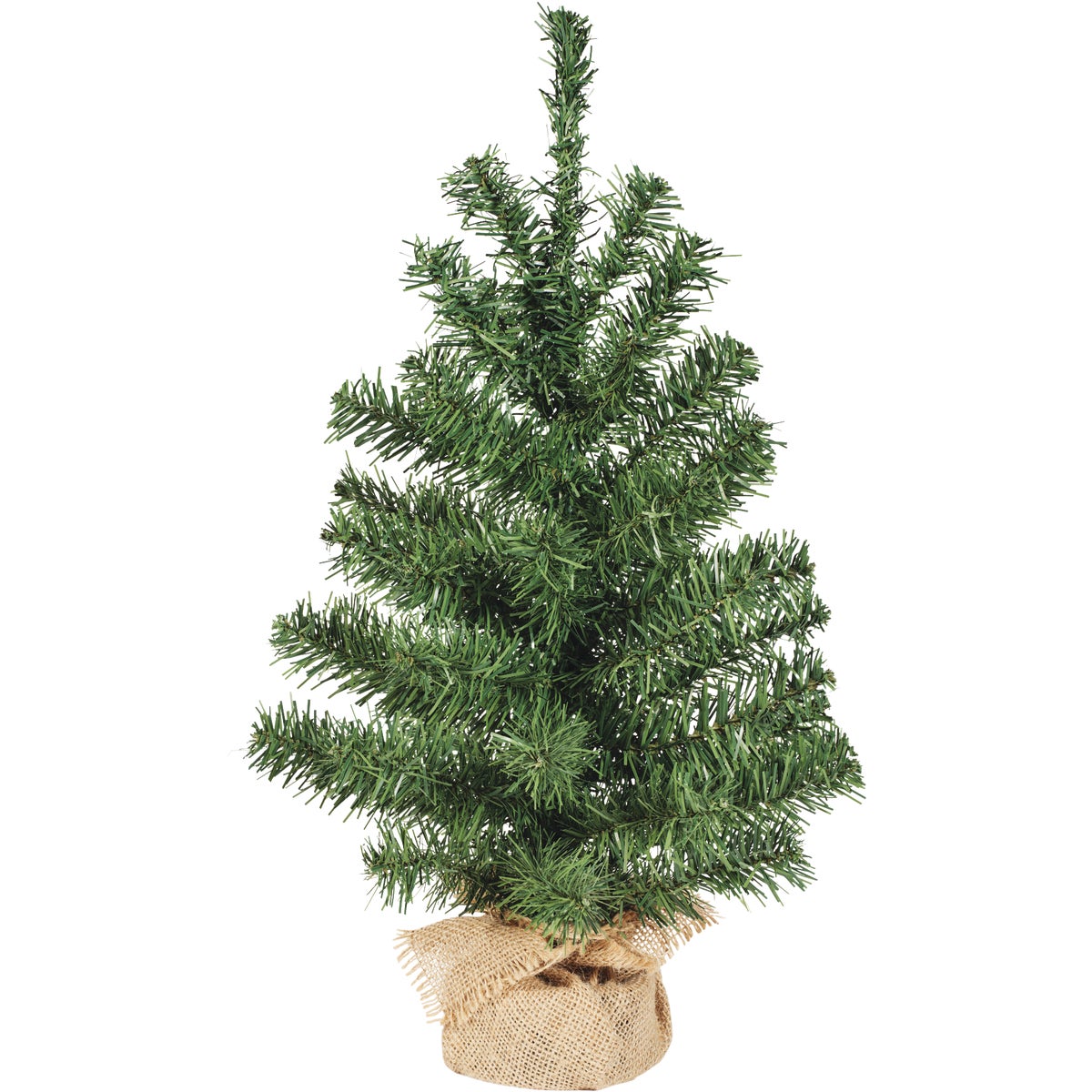 15″ CANADIAN PINE TREE