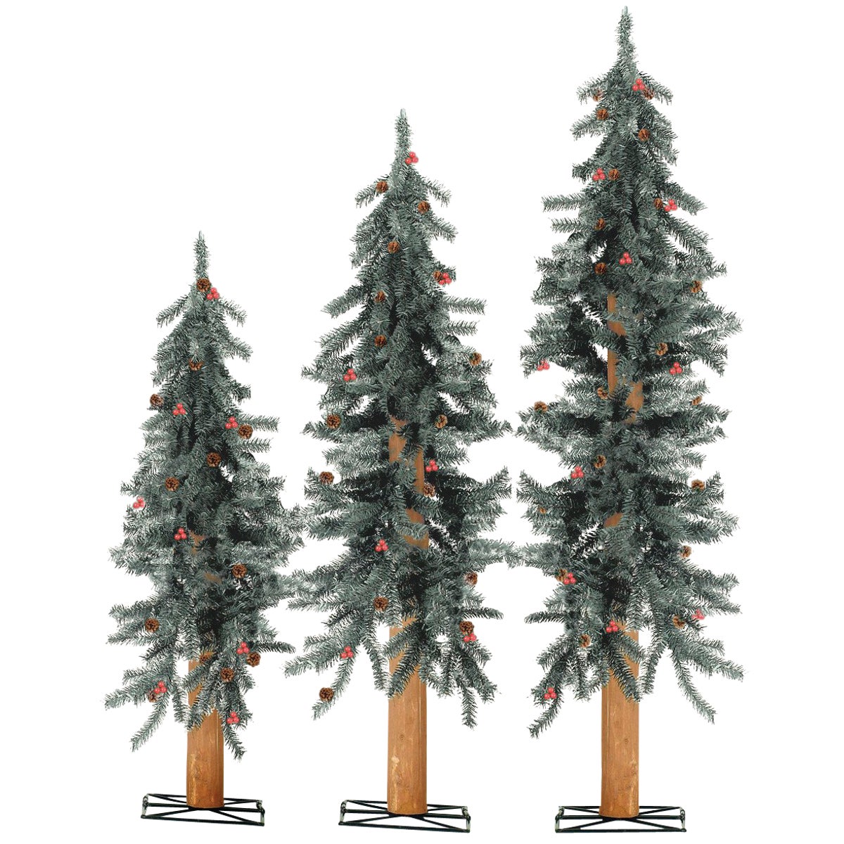 2-3-4 FT ALPINE TREES