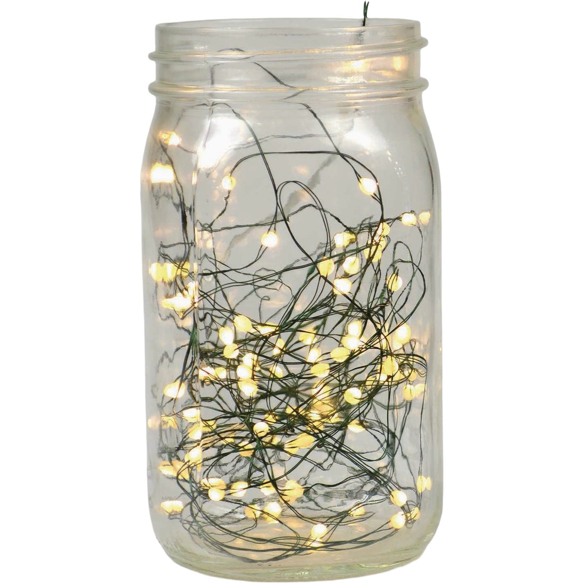 Holiday Bright Lights 100-Bulb Warm White Seed Micro LED Light Set with Green Wire