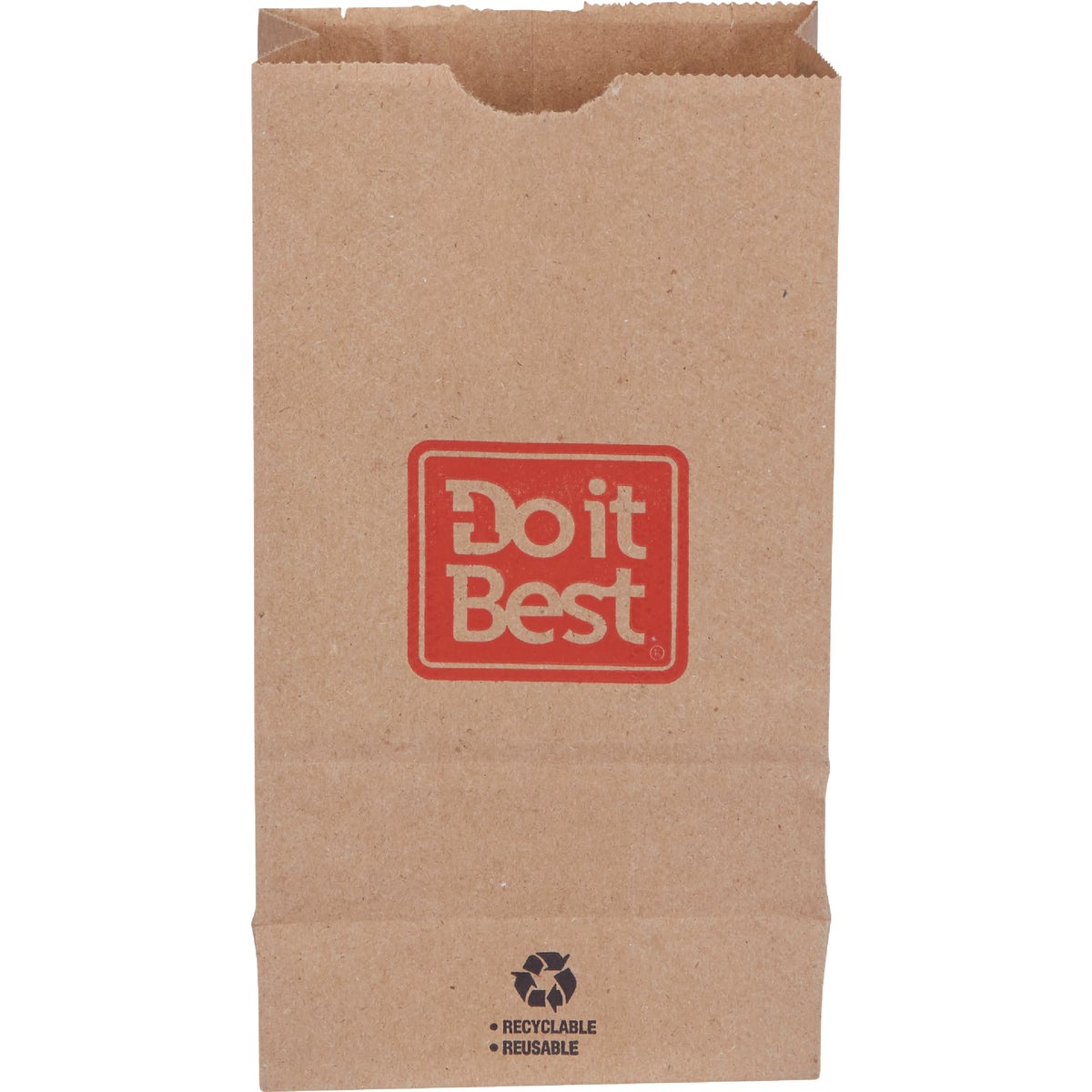 Do it Best 3 Lb. Capacity Paper Shopping Bag (400-Pack)