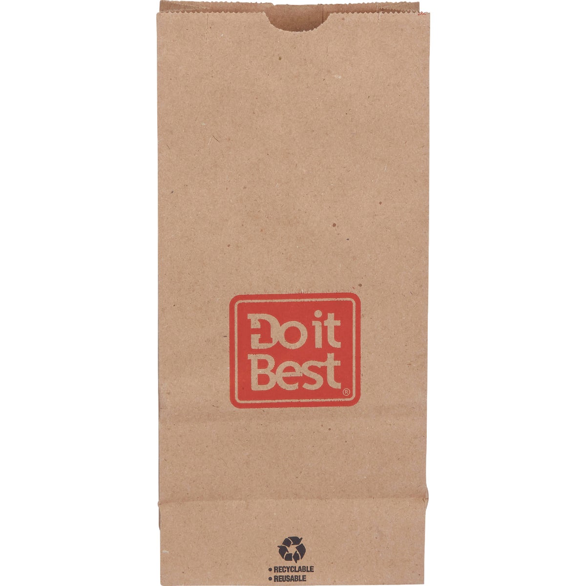 Do it Best 5 Lb. Capacity Paper Shopping Bag (400-Pack)