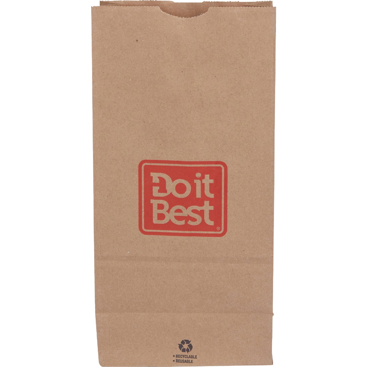Do it Best 10 Lb. Capacity Paper Shopping Bag (400-Pack)